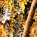 Abandoned Factory, Nicolet Asbestos Abandoned Factory, Nicolet Asbestos