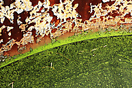 Abandoned Factory, Nicolet Asbestos Abandoned Factory, Nicolet Asbestos