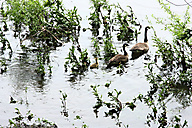 Abandoned Factory, Nicolet Asbestos Abandoned Factory, Nicolet Asbestos
