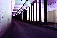 Spring Garden Tunnel