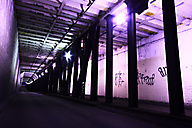 Spring Garden Tunnel