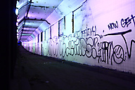 Spring Garden Tunnel
