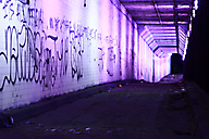 Spring Garden Tunnel