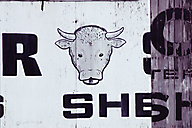 Lancaster Stockyards