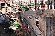Lancaster Stockyards