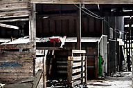 Lancaster Stockyards