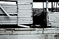 Lancaster Stockyards