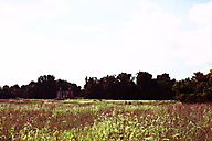 Ruins, Fairmount Park