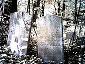 Abandoned Jewish Cemetery, Gladwyne