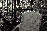 Abandoned Jewish Cemetery, Gladwyne