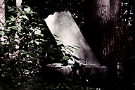 Abandoned Jewish Cemetery, Gladwyne