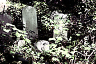 Abandoned Jewish Cemetery, Gladwyne