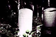 Abandoned Jewish Cemetery, Gladwyne