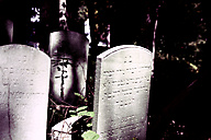 Abandoned Jewish Cemetery, Gladwyne
