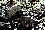 Abandoned Jewish Cemetery, Gladwyne