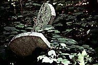 Abandoned Jewish Cemetery, Gladwyne