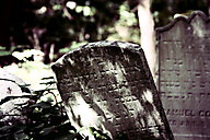 Abandoned Jewish Cemetery, Gladwyne