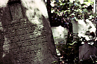 Abandoned Jewish Cemetery, Gladwyne