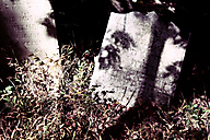 Abandoned Jewish Cemetery, Gladwyne