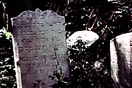 Abandoned Jewish Cemetery, Gladwyne