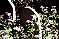 Abandoned Jewish Cemetery, Gladwyne