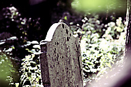 Abandoned Jewish Cemetery, Gladwyne