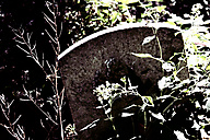 Abandoned Jewish Cemetery, Gladwyne