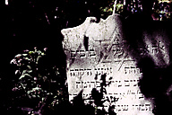 Abandoned Jewish Cemetery, Gladwyne