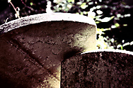 Abandoned Jewish Cemetery, Gladwyne