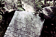 Abandoned Jewish Cemetery, Gladwyne