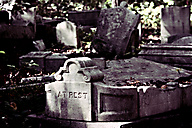 Abandoned Jewish Cemetery, Gladwyne