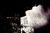 Abandoned Jewish Cemetery, Gladwyne