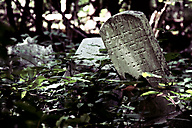 Abandoned Jewish Cemetery, Gladwyne