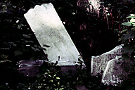 Abandoned Jewish Cemetery, Gladwyne