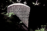 Abandoned Jewish Cemetery, Gladwyne