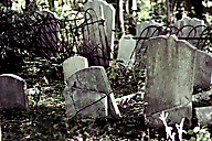 Abandoned Jewish Cemetery, Gladwyne