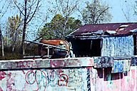 Port Richmond