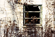 Abandoned Missle Base, NJ