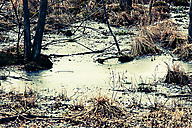 Lorimer Park