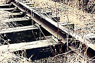 Lorimer Park