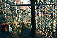 Lorimer Park