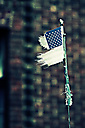 North Philadelphia
