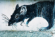 North Philadelphia