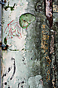 North Philadelphia