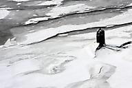 Schuylkill River in Snow