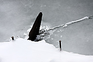 Schuylkill River in Snow