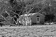 Valley Forge