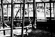 Abandoned Greenhouse