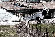 Abandoned Greenhouse