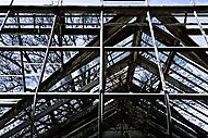 Abandoned Greenhouse